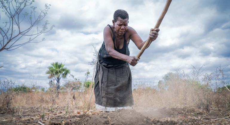 Países africanos têm dificuldades para responder às necessidades básicas das populações