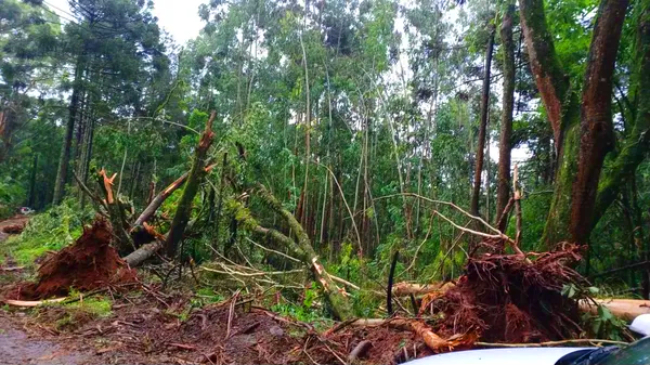 tornado Rio das Antas SC