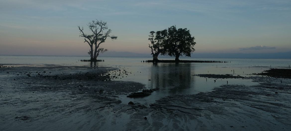 Assembleia Geral terá uma reunião plenária de alto nível  sobre ameaças existenciais provocadas pela subida do nível do mar induzida pelas alterações climáticas