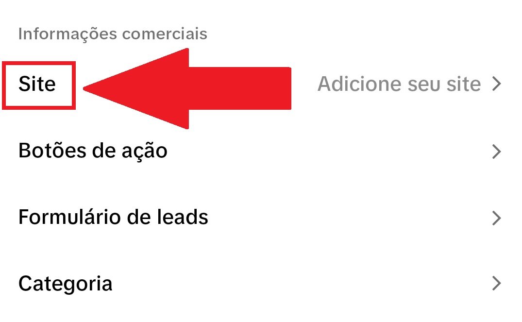 Aperte na opção "Site" para adicionar uma URL à sua conta comercial no TikTok