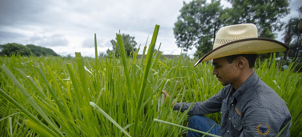 Desde 2009, existe um aumento das emissões de gases de efeito estufa, o que se tornou um desafio para pequenos e grandes agricultores