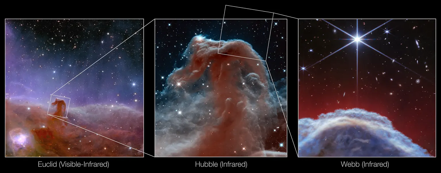 A Cabeça de Cavalo vista pelo Euclid (visão óptica), e do Hubble e James Webb (na luz infravermelha próxima).