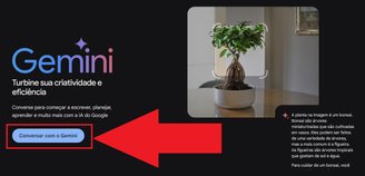 Clique em "Conversar com o Gemini" para ter acesso ao menu de instruções