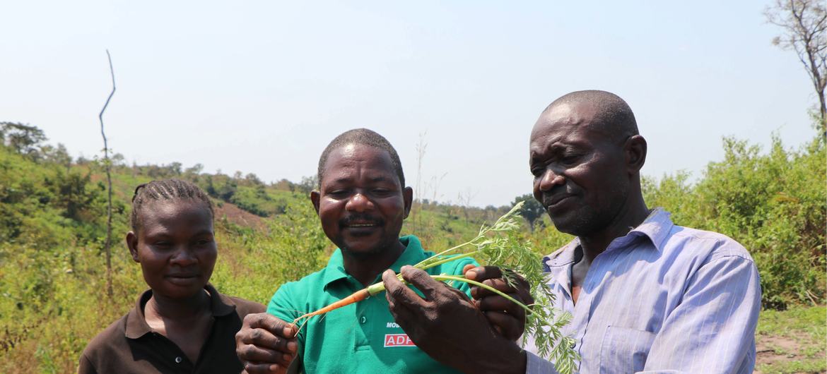 Nos campos de arroz, os rostos sorridentes refletem um novo sentido de propósito e comunidade. Além da colheita, esse esforço promove resiliência e autonomia em uma comunidade que busca segurança e deseja fornecer à próxima geração as ferramentas para um…