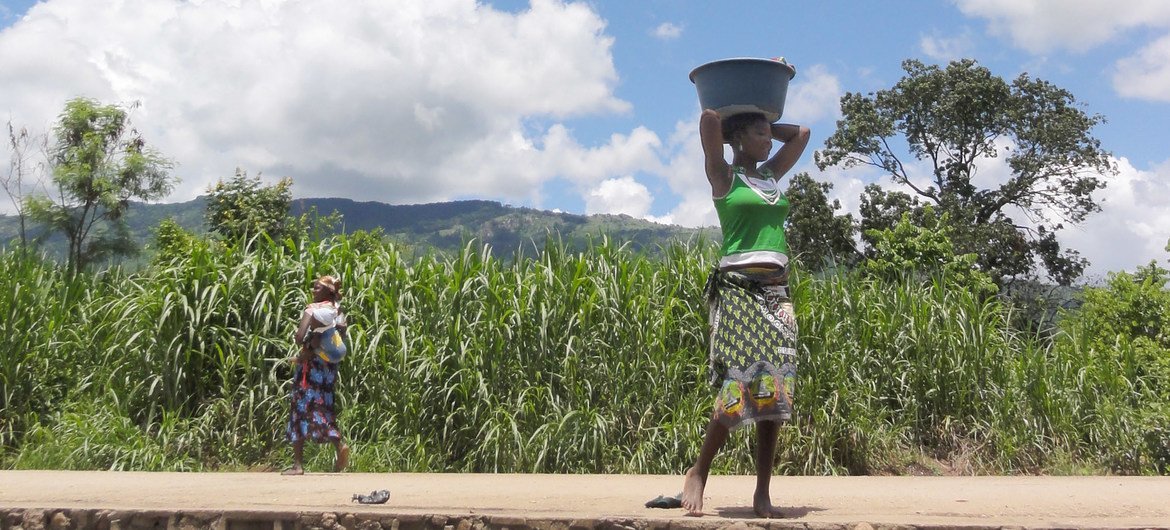 Seca na África terá um impacto negativo sobre a produtividade das principais culturas de cereais, diz um relatório lançado hoje pela OMM. 