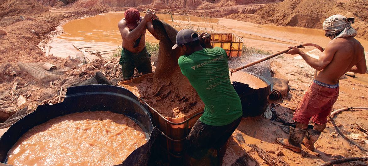 O Rio Tapajós corre 840 quilômetros através do coração da Amazônia brasileira, atravessando territórios indígenas, parques nacionais, cidades pobres e muitos dos locais de mineração de ouro em pequena escala do Brasil - ou garimpos