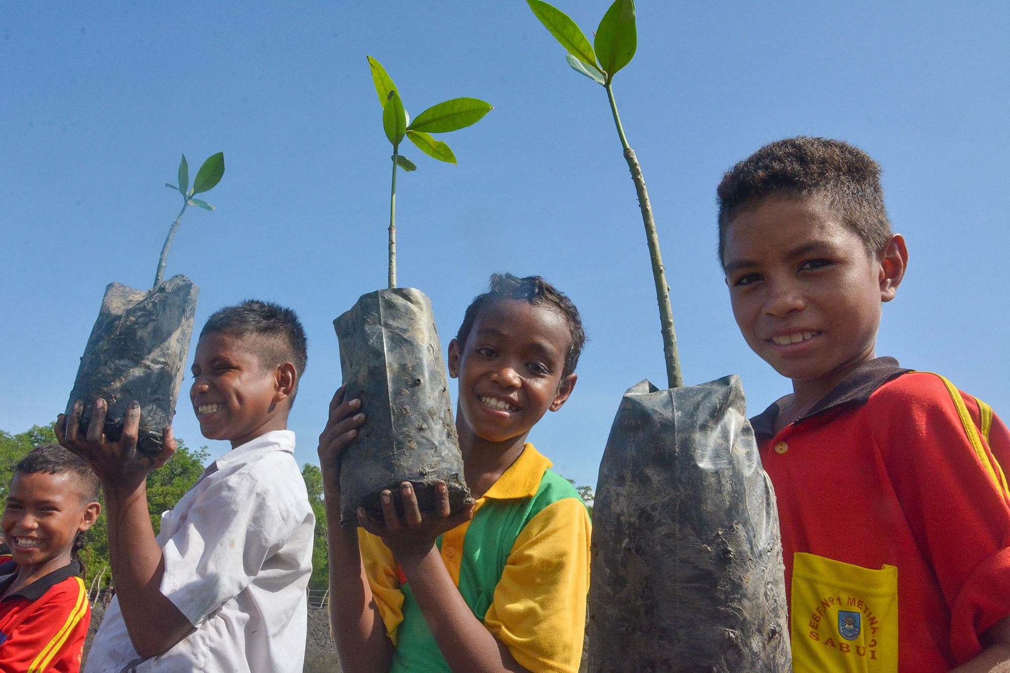 FAO aponta ainda as mudanças climáticas como motivo que torna as florestas mais vulneráveis a espécies invasoras