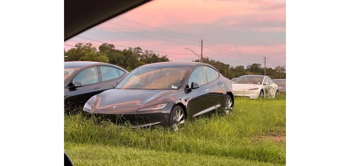 Cemitério de Tesla na Flórida. (Imagem: Reddit/LSDBunnos)