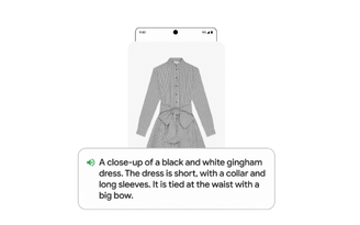 O TalkBack do Google foi reforçado com Gemini para descrever o conteúdo de imagens. (Imagem: Google/Reprodução)