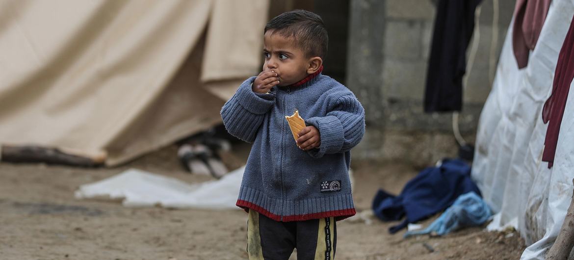 Um menino em Gaza come um biscoito nutritivo de alta energia.