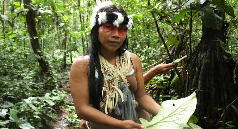 Milhões de pessoas, a maioria indígenas, sofrem efeitos da baixa das águas de muitos rios da bacia amazônica 